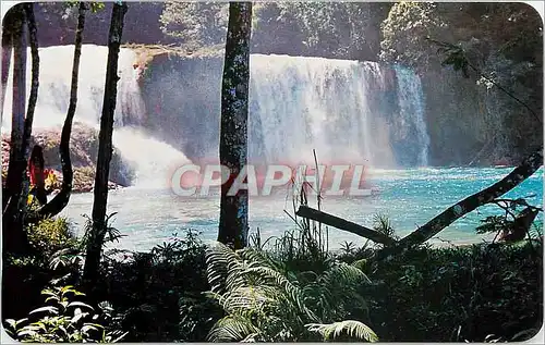 Ansichtskarte AK Cascadas de Agua Azul Chiapas Mexico