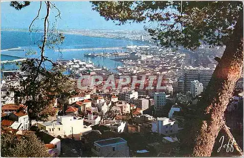 Ansichtskarte AK Alger Vue panoramique