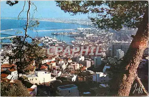 Cartes postales Alger Vue panoramique