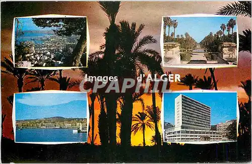 Cartes postales Souvenir d'Alger