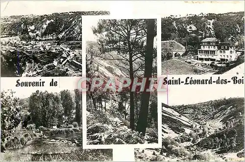 Cartes postales Souvenir de Saint Leonard des Boi
