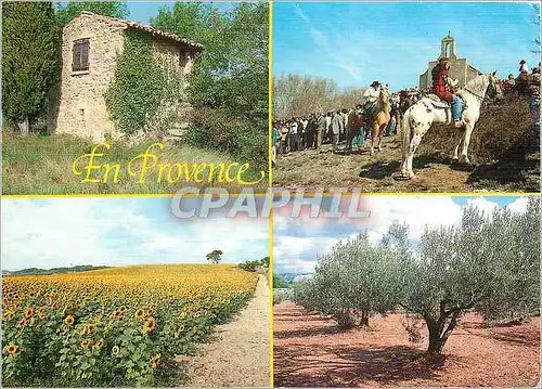 Cartes postales moderne Lumiere et beaute de la Provence Quelques sites pittoresques
