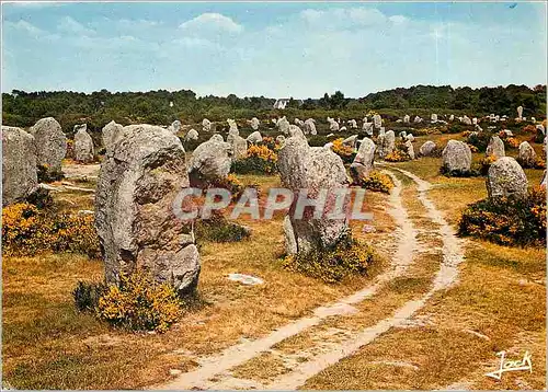 Cartes postales moderne Carnac Les alignements du Menec