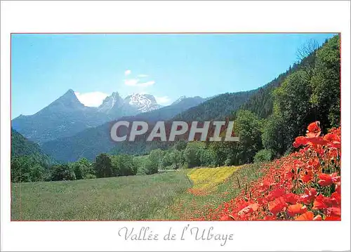 Cartes postales moderne Vallee de l'Ubaye