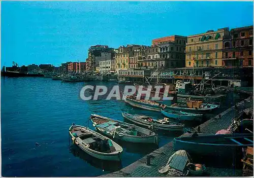 Moderne Karte Anzio Porto Harbour