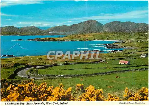 Cartes postales moderne Ballydonegan Bay Beara Peninsula West Cork Ireland