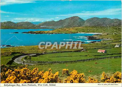 Moderne Karte Ballydonegan Bay Beara Peninsula West Cork Ireland