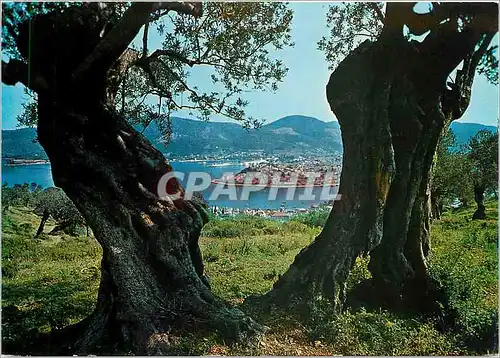 Moderne Karte Poros Vue Partielle