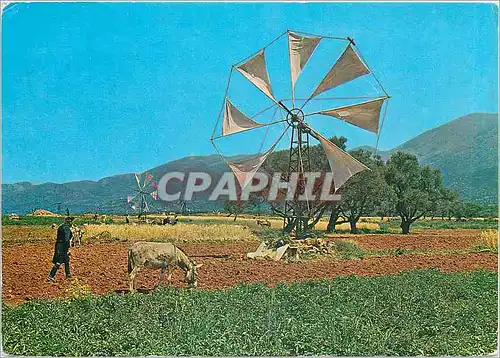 Cartes postales moderne Lassithi Vie rurale