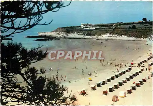Cartes postales moderne Cote de Beaute Meschers Charente Maritime La Plage des Nonnes