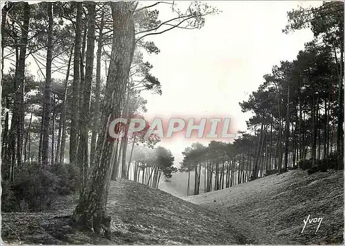 Moderne Karte Arcachon Gironde Les Dunes de la Ville d'Hiver