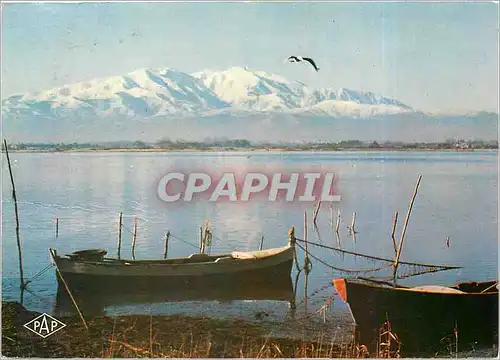 Moderne Karte En Roussillon de l'etang vue sur le Canigou