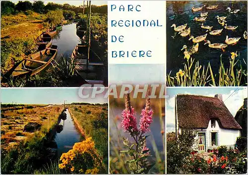 Cartes postales Parc Regional de Briere hectares de marais ses fleurs ses oiseaux ses chaumieres et ses blins ba