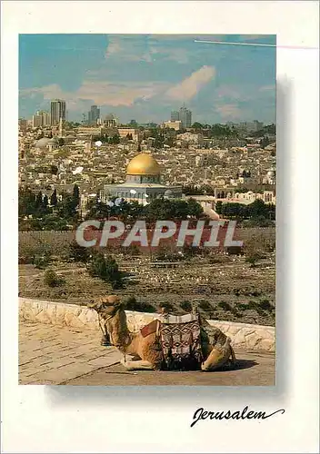 Moderne Karte Jerusalem the Old City viewed from the Mt of Olives