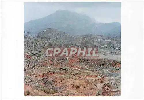 Cartes postales moderne Brigitte Bauer Paysages de la Sainte Victoire