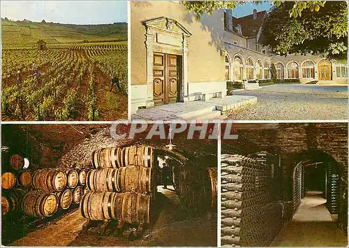 Cartes postales moderne Beaune Maison Patriarche Pere et Fils Ancien Couvent des Visitandines