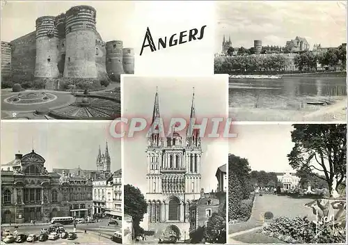 Cartes postales moderne Angers Maine et Loire