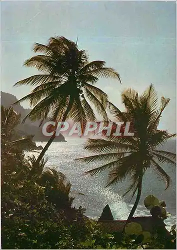 Cartes postales moderne Martinique Grand Riviere Midi Sur le Cap Saint Martin
