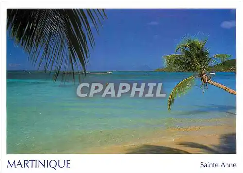Cartes postales moderne Martinique Sainte Anne