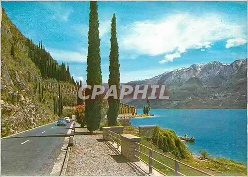 Cartes postales moderne Lago di Garda Gardesana occidentale e limonaia