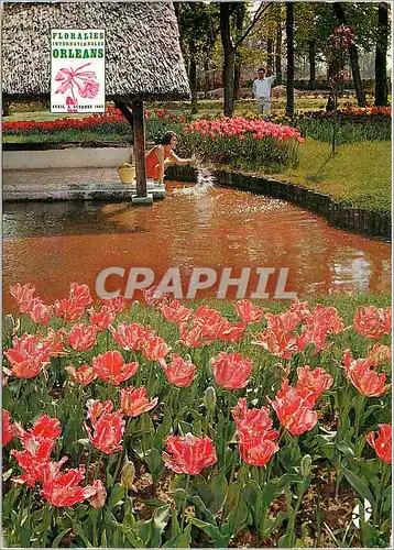 Cartes postales Parc Floral Orleans la Source