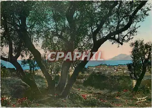 Cartes postales La Cote d'Azur Le Cannet Vue sur Cannes et le Golfe de la Napoule