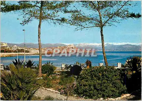 Cartes postales Cote d'Azur Antibes Vue sur la Vieille Ville et les Alpes neigeuses