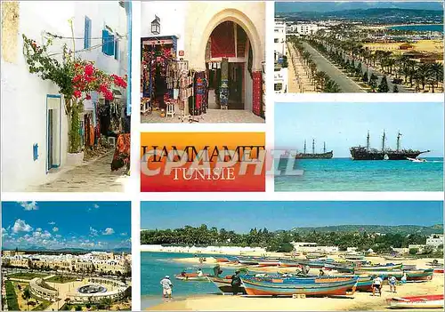 Ansichtskarte AK Hammamet Tunisie