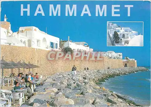 Ansichtskarte AK Charmes et douceur de Tunisie Hammamet