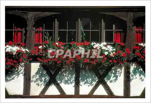 Cartes postales Facade typique de Strasbourg