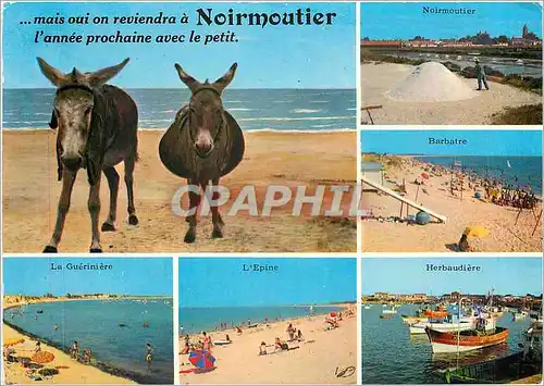 Cartes postales moderne Ile de Noirmoutier Vues des pays de l'lle Ane Mule Barbatre La Gueriniere L'Epine Herbaudiere