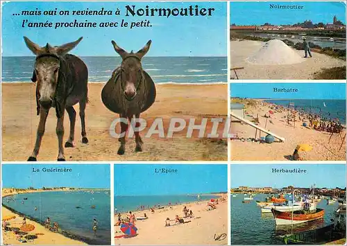 Moderne Karte Ile de Noirmoutier Vues des pays de l'lle Ane Mule Barbatre La Gueriniere L'Epine Herbaudiere