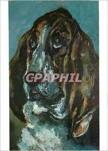 Cartes postales moderne Toulouse Lautrec Tete de chien courant Musee d'Albi