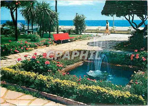 Cartes postales moderne Riviera delle Palme Spotorno Jardins publiques et fontaine lumineuse