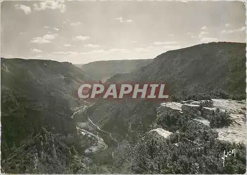 Cartes postales moderne Les Gorges du Tarn Lozere Vue prise du Point Sublime