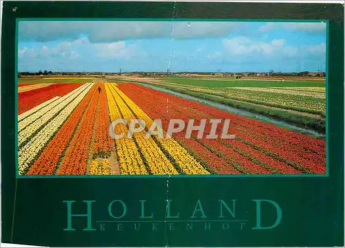 Moderne Karte Holland Keukenhof