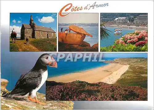 Cartes postales moderne Cotes d'Amor La chapelle du Menez Bre environs de Guingamp