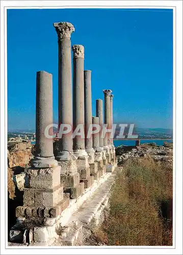 Moderne Karte Tyre German Lebanese