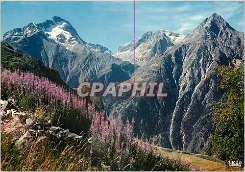 Cartes postales Les Belles Alpes Fleuries