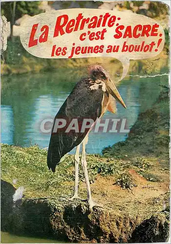 Cartes postales Romaneche Thorins Parc Zoologique des Condeminals