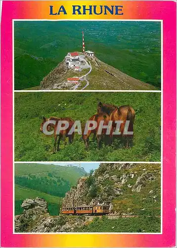 Cartes postales moderne La Rhune Pyr Atl Les Pottok Le petit train a la breche