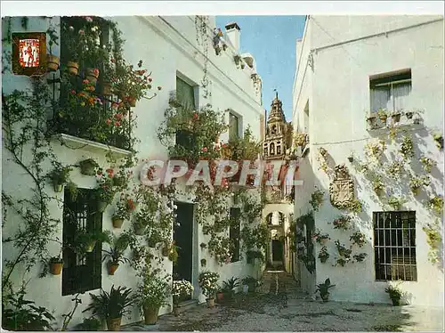 Cartes postales moderne Cordoba