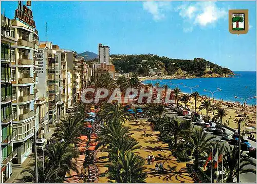 Cartes postales moderne Lloret de Mar Costa Brava Promenade und palmen