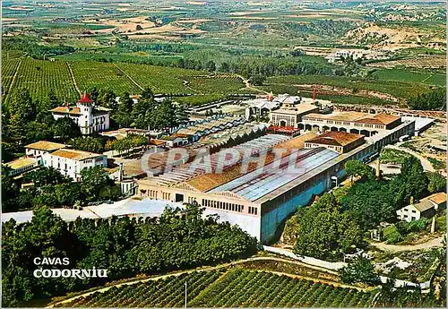 Cartes postales moderne Cavas Codorniu Vue de l'exterieur