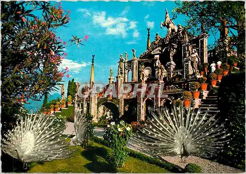 Cartes postales moderne Giardini dell'Isola Bella Lago Maggiore