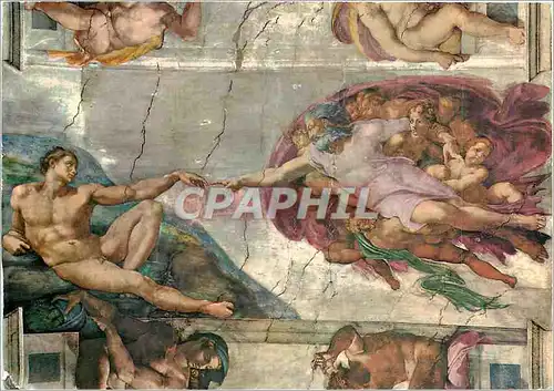 Cartes postales moderne Citta del Vaticano Cappella Sistina La creation de l'Homme