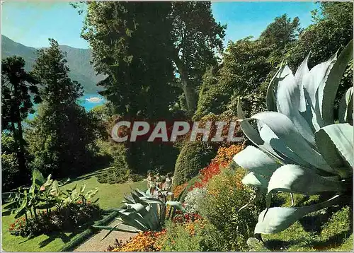 Cartes postales moderne Lac de Como Jardin de Villa Charlotte