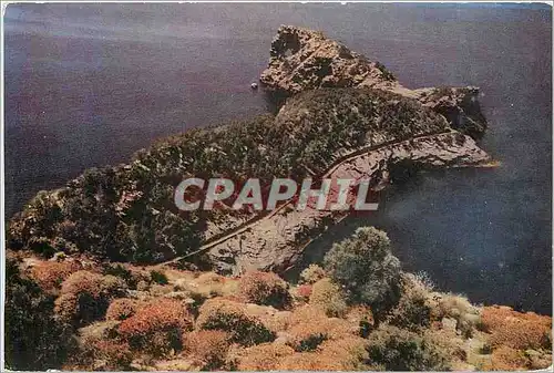 Cartes postales Mallorca Costa de Marimar Na Foradada