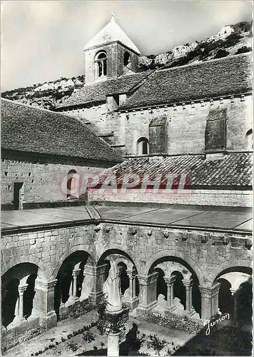 Cartes postales moderne Abbaye Cistercienne de Senanque pres de Gordes Vaucluse Jardin et Clocher