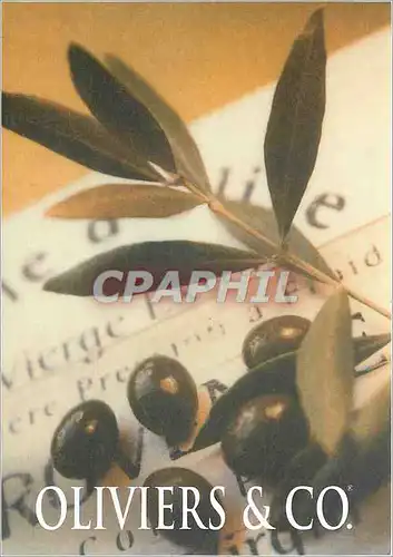 Cartes postales moderne Oliviers Co Feuilles d'olivier au sablon